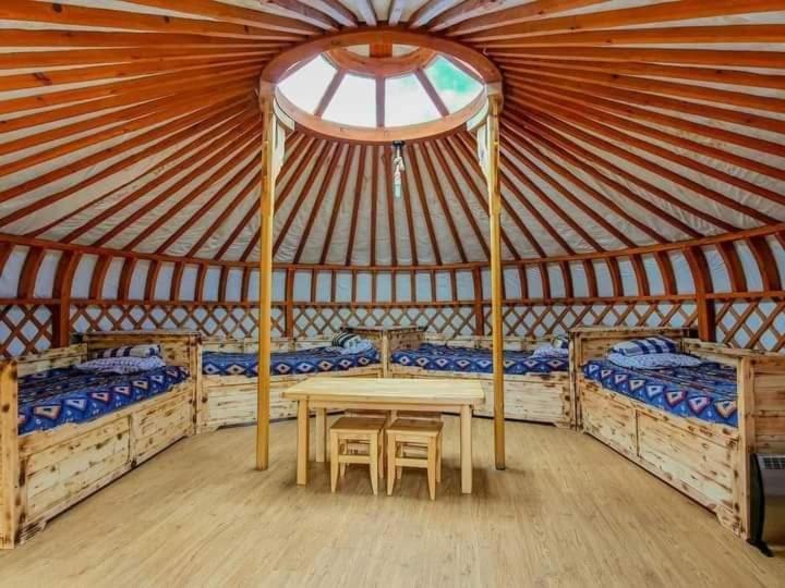 מלון Bayan Bulagiin Hural Apache Eco Camp, Terelj Nationalpark Mongolia מראה חיצוני תמונה
